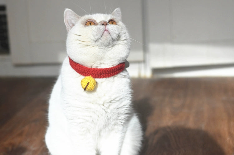 Silent Bell Adjustable Handmade Knitted Cat Collar