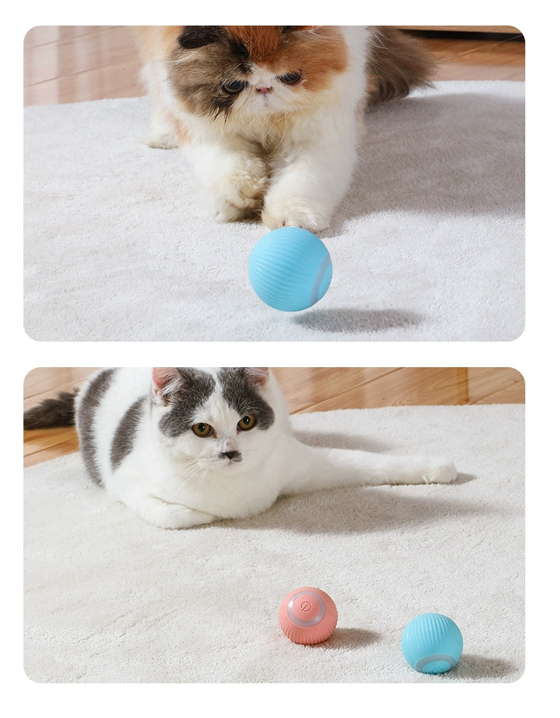 Self-Hi Relieving Stuffy Electric Rolling Ball Cat Toy