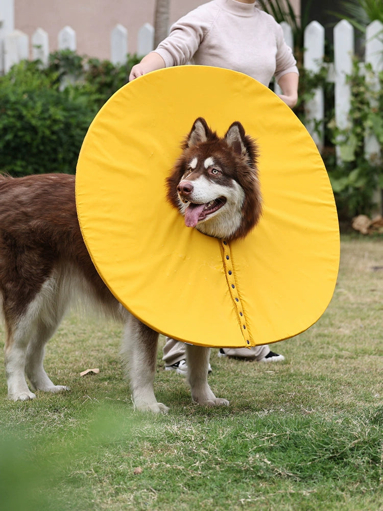 Large Dog Anti-Licking Collar