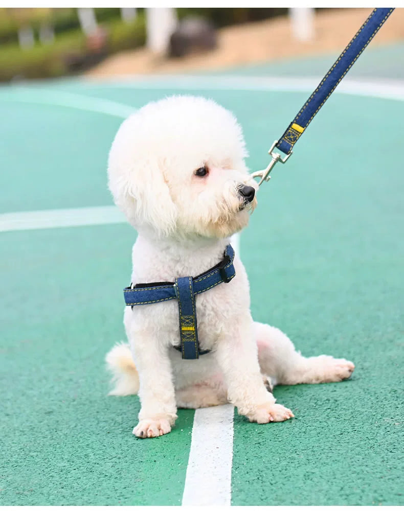 Dog harness for small dogs