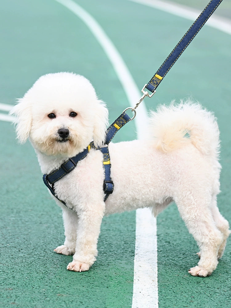 Dog harness for small dogs