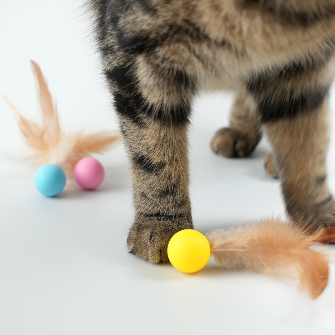 Feather toy for cats and kittens