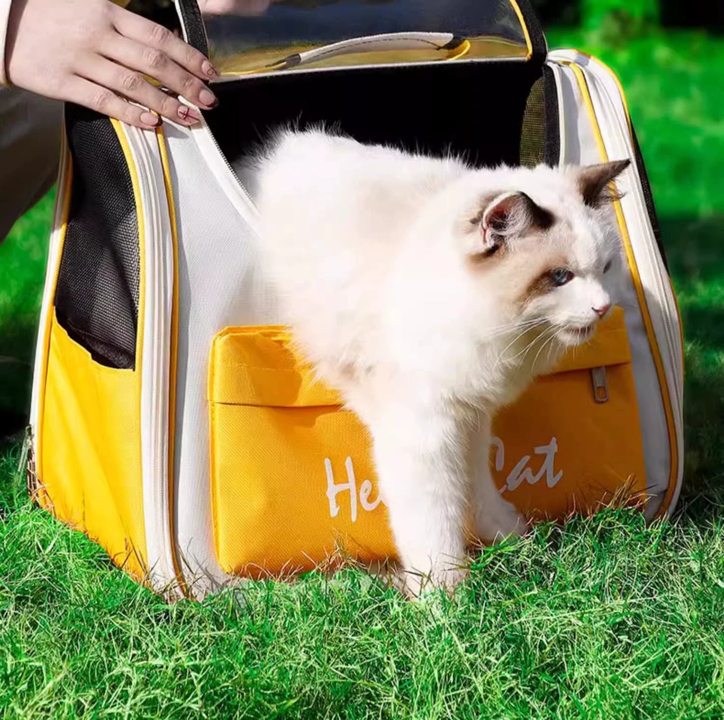 Sac à bandoulière portable transparent neutre pour chat toute l'année