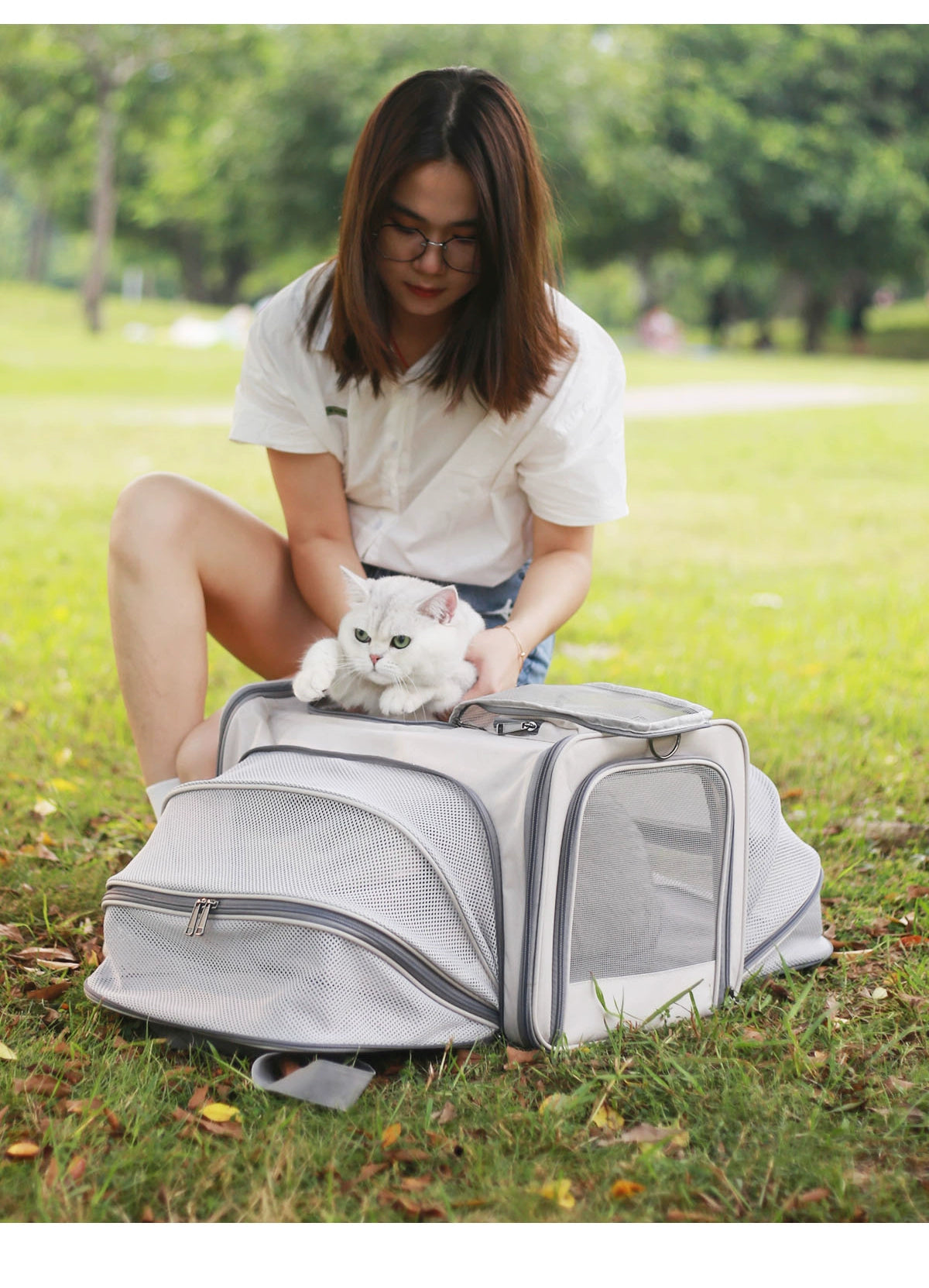 Portable Breathable Trolley Case Satchel Crossbody Shoulder Cat Bag