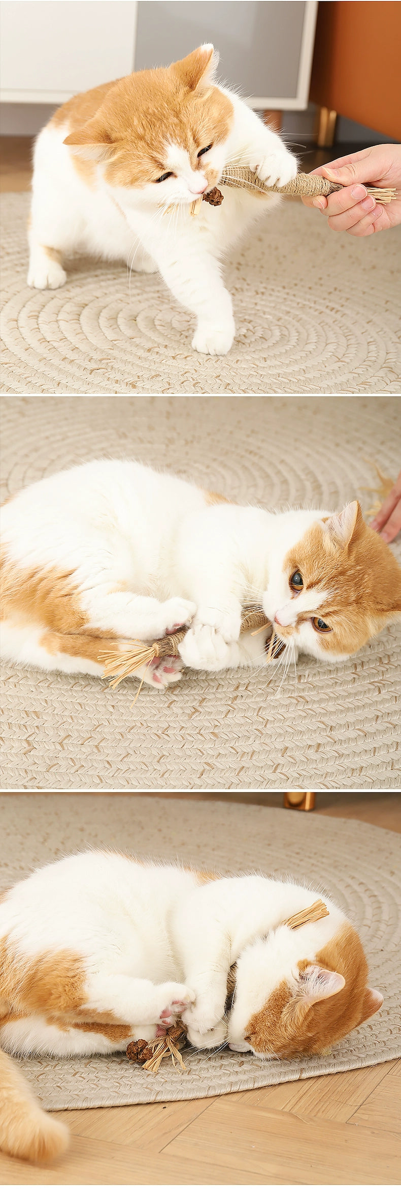 Cat Rope Toy with Catnip