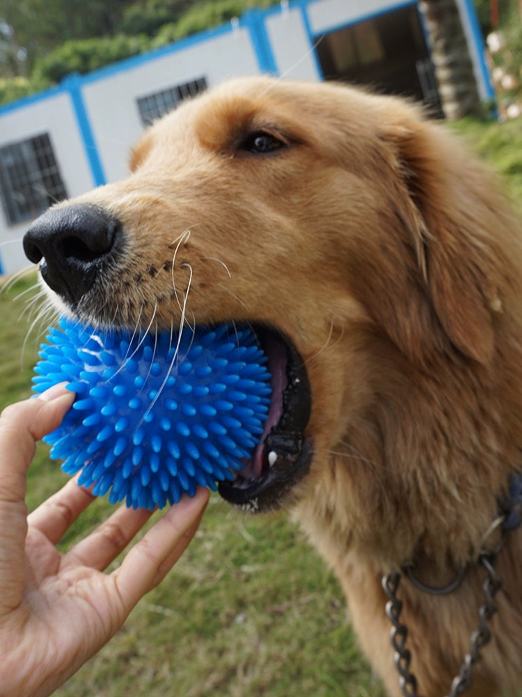 Sound Cleaning Elastic Ball