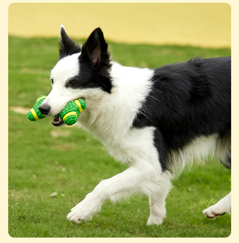 Teddy Bite-Resistant Molar Toy Small Dog