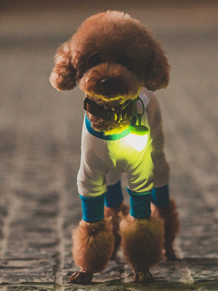 Dog Hazelnut Pendant Luminescent Lamp Pet Led Rechargeable Luminous Collar Anti-Lost Walking Dog Light