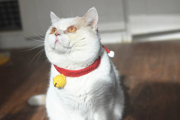 Silent Bell Adjustable Handmade Knitted Cat Collar