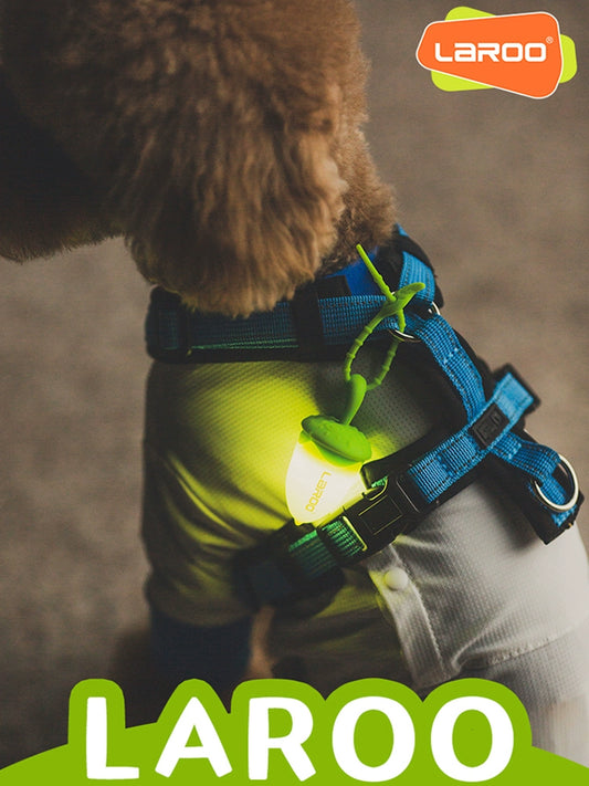 Dog Hazelnut Pendant Luminescent Lamp Pet Led Rechargeable Luminous Collar Anti-Lost Walking Dog Light