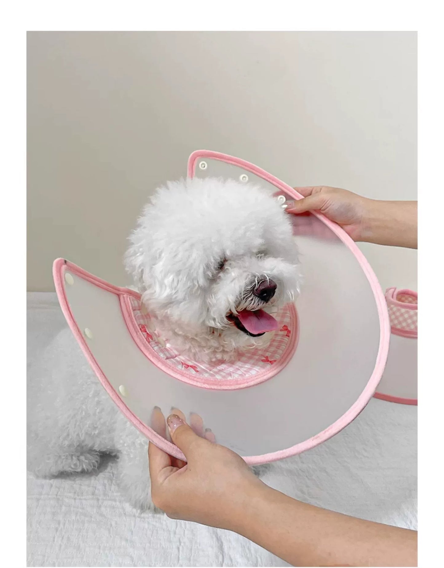 Cat Collar Transparent Anti-Licking Bite Head Cover Dog