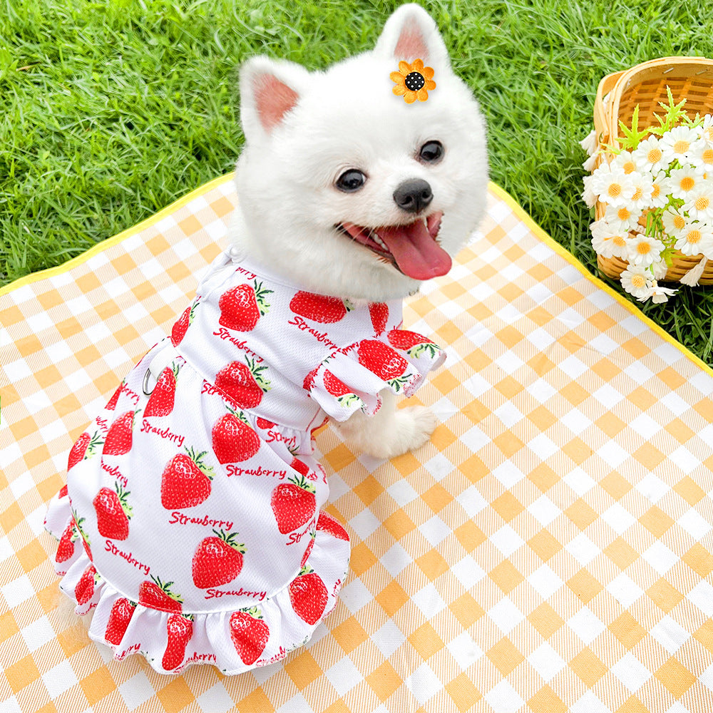 Cute Pet Dog Dress for Small Dogs Thin Puppy Princess Skirt Summer Dog Clothes Chihuahua York Clothing Summer Pet Clothes