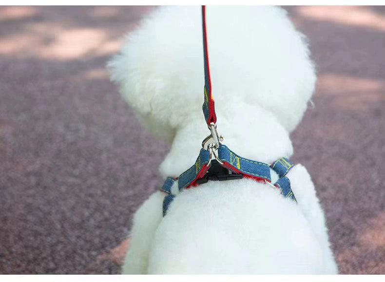 Large Teddy Pet Supplies Chest and Back Dog Hand Holding Rope