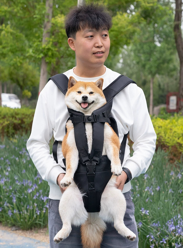 Shiba Inu Corgi Teddy Portable Big Dog Pet Backpack