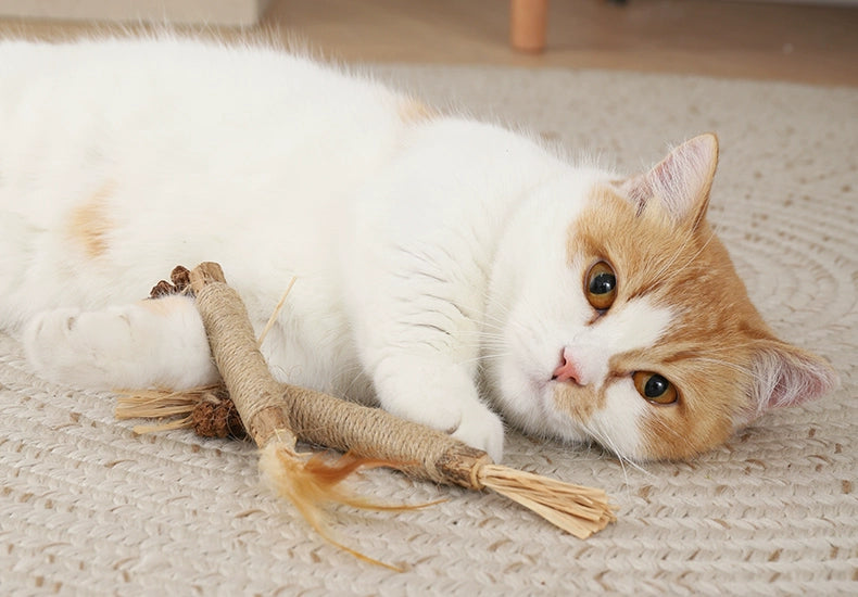 Cat Rope Toy with Catnip