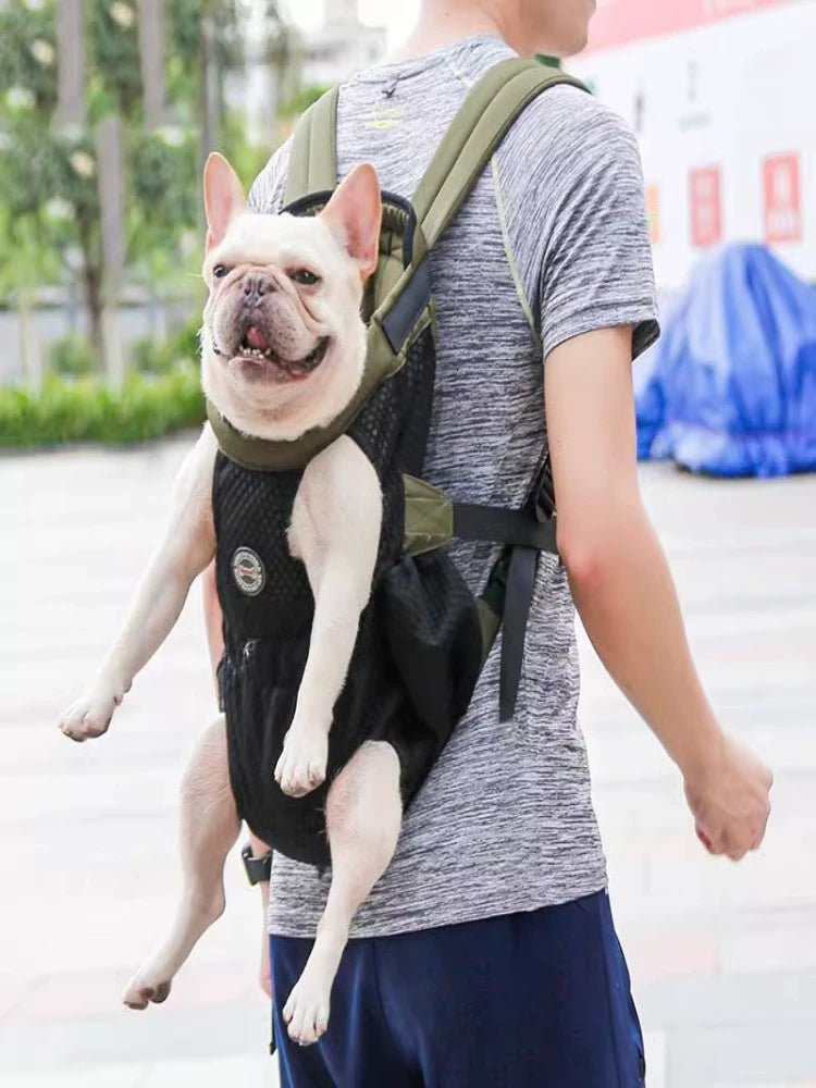 Dog Small and Medium-Sized Dogs Portable Teddy Pet Backpack