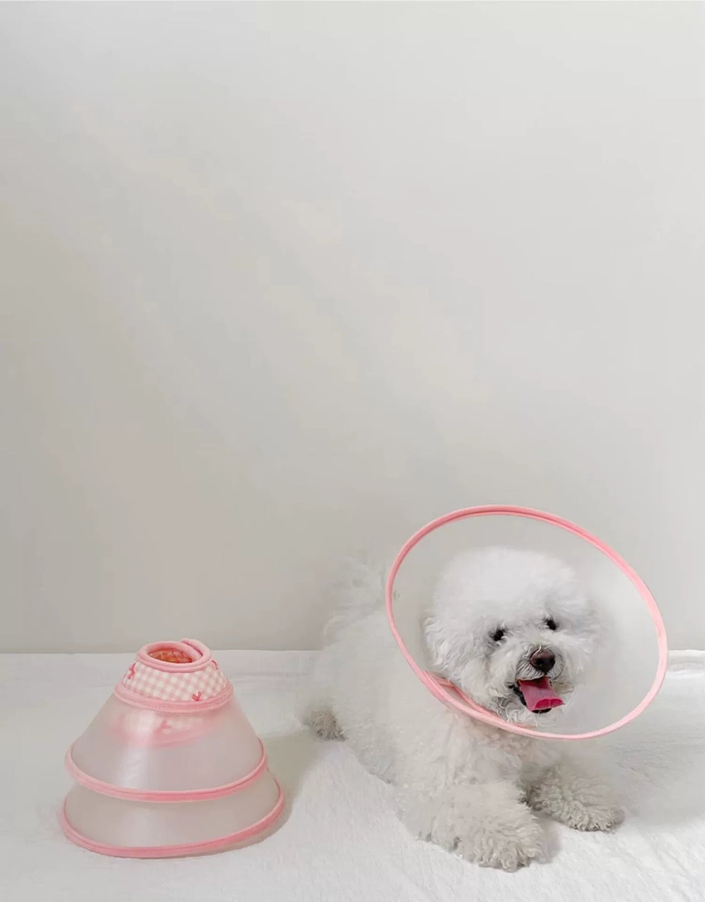 Cat Collar Transparent Anti-Licking Bite Head Cover Dog