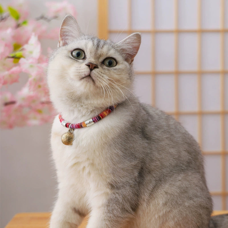 Cat Collar with Bell