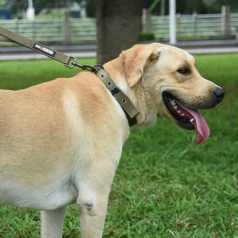 Adjustable Nylon Strap Dog Harness