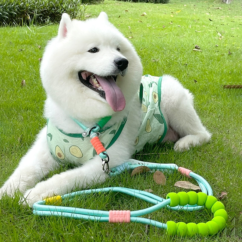 Double-Layer Large Dog Harness Pull-Resistant Explosion-Proof