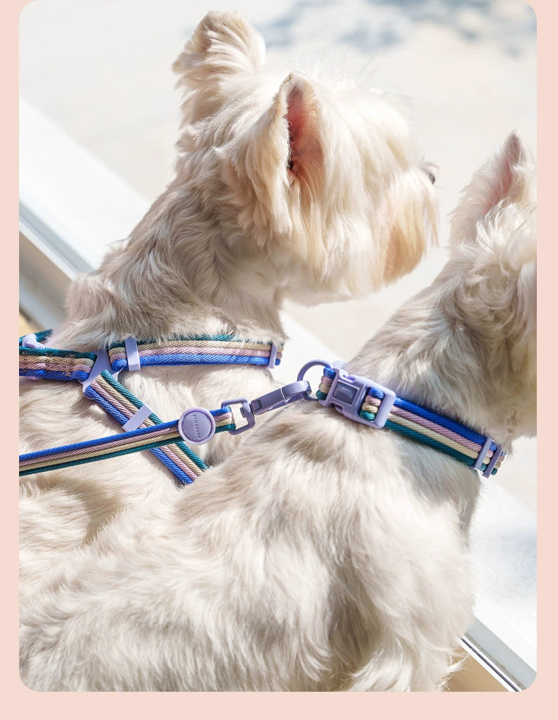 Small Dog or Cat Harness and Leash