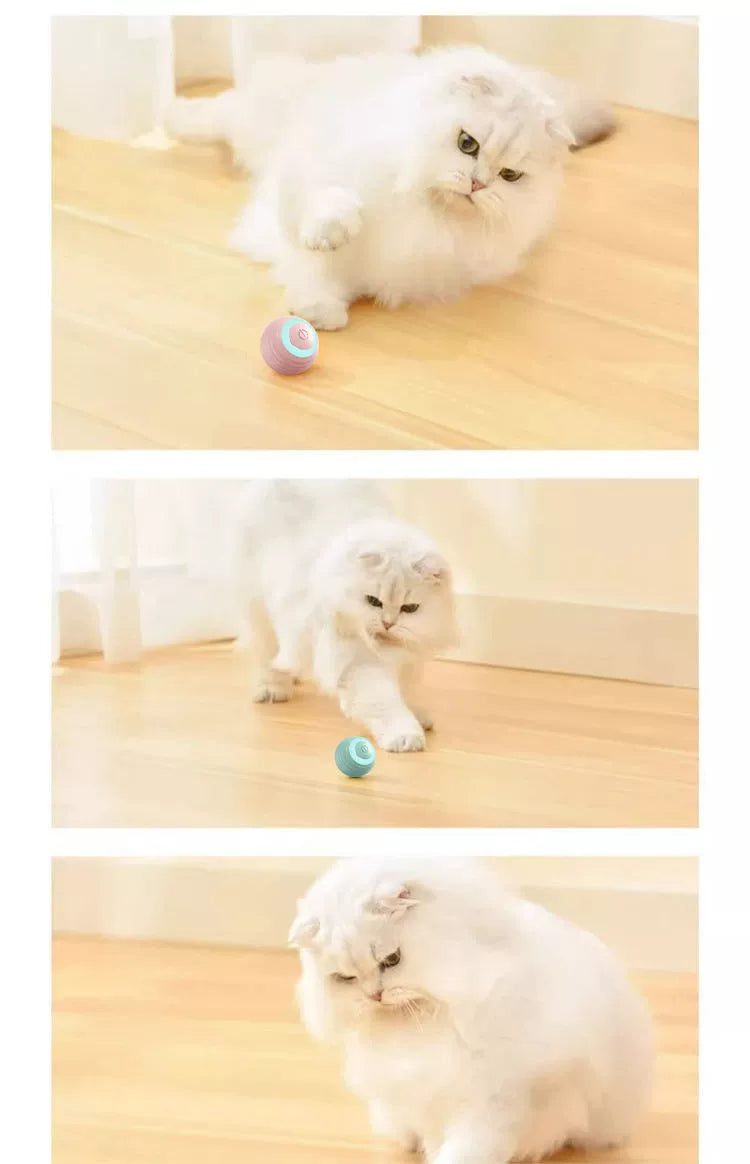 Self-Hi Relieving Stuffy Cat Teasing Ball Electric Toy