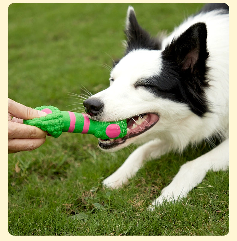 Teddy Bite-Resistant Molar Toy Small Dog