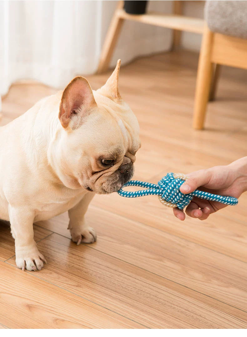 Dog Molar Relieving Stuffy Knot Toy Dog Chewing Puppy Big and Small Dogs Pet Ball