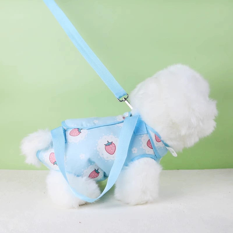 Dedicated Bichon Teddy Shoulder Exposed Small Size Dogs Dog