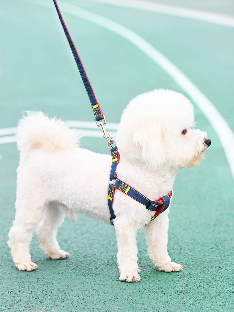 Dog harness for small dogs