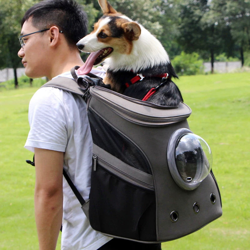 Portable Backpack Book Packaging Corgi and Shiba Inu Large Dog