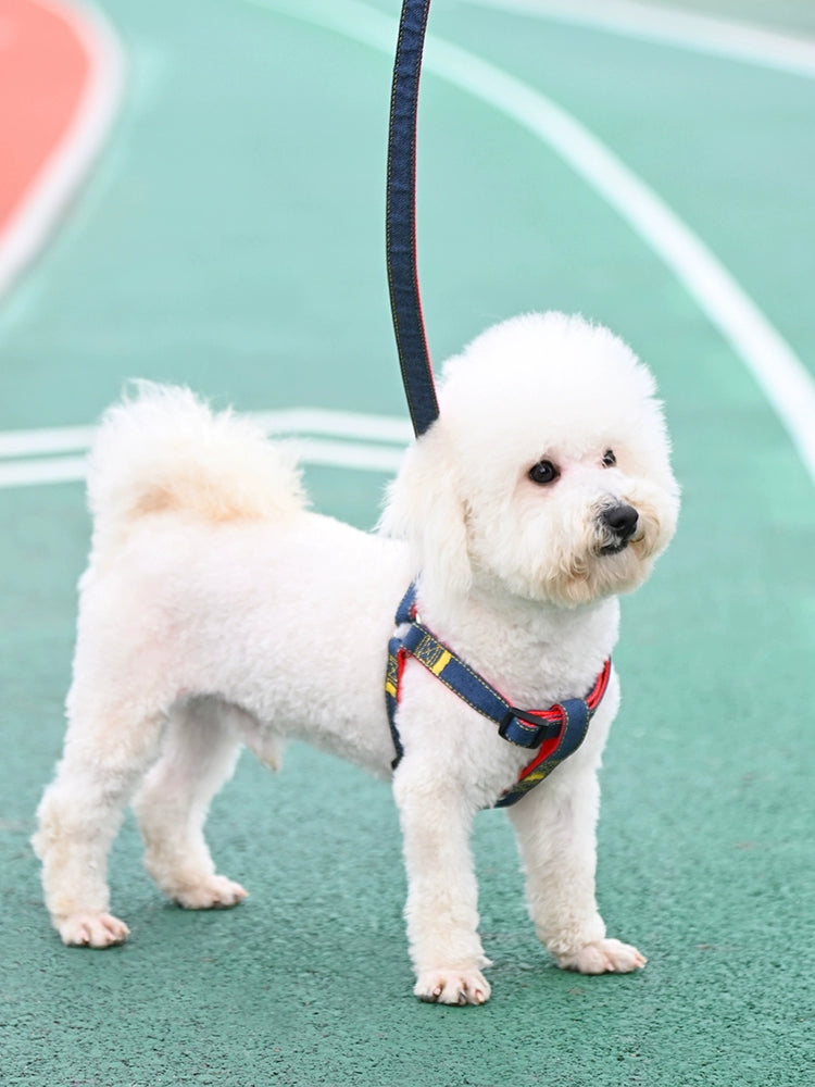 Dog harness for small dogs