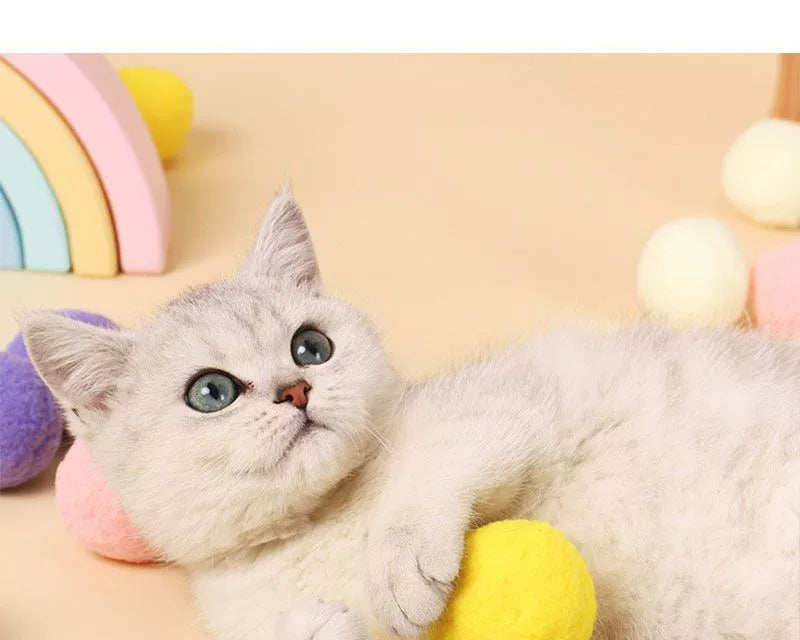 6cm Macaron Double Color Ball Large Scratch-Resistant Cat