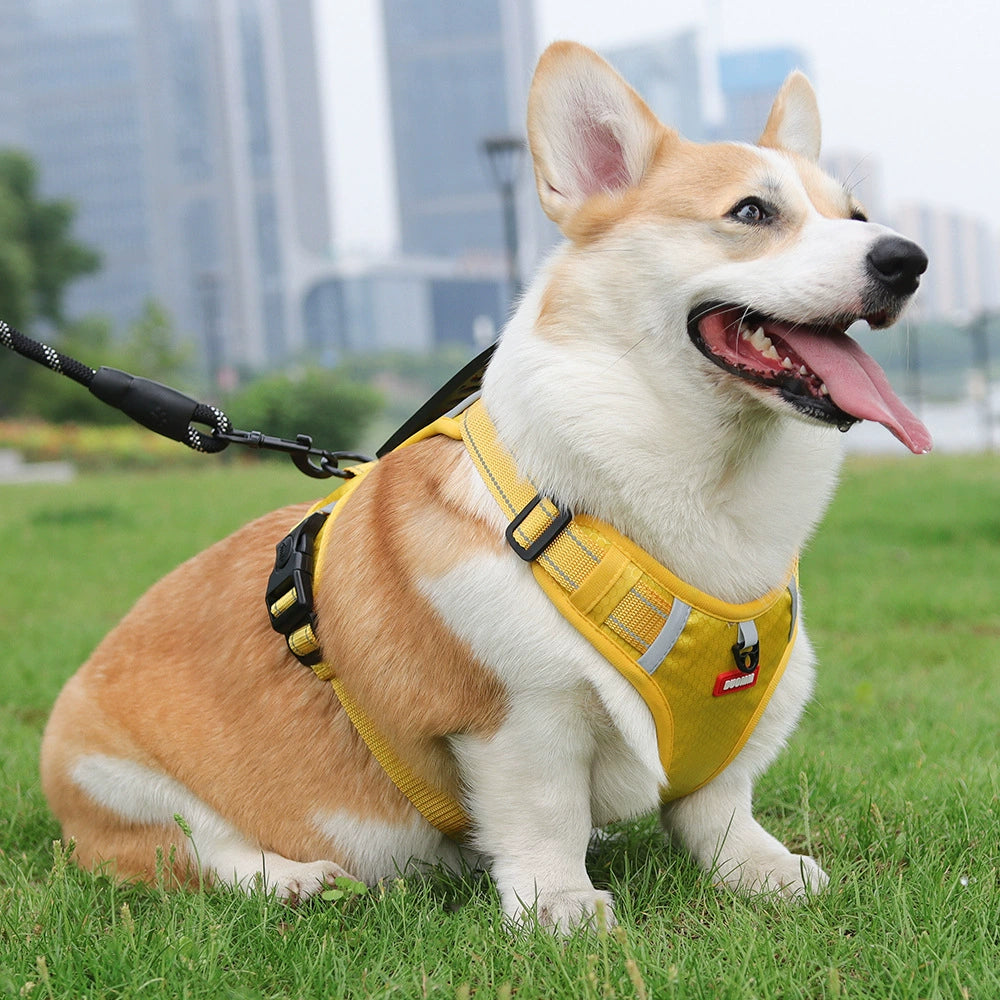 Dog Harness Medium-Sized Dog