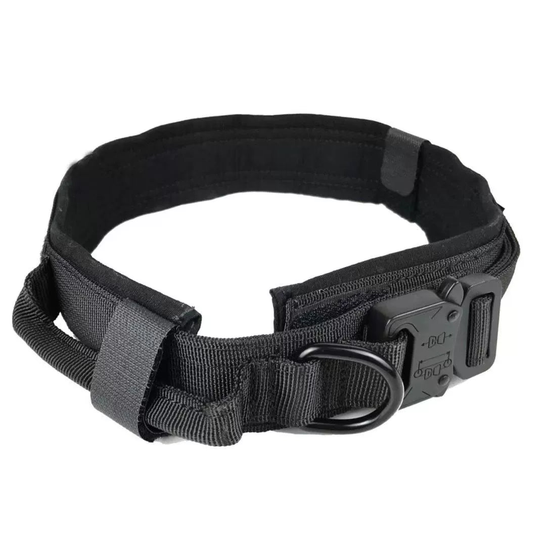 Large Dog Collar