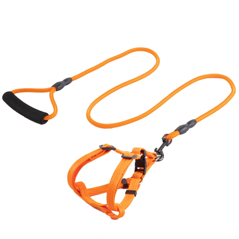 Harness and Leash for Small to Medium Sized Dogs