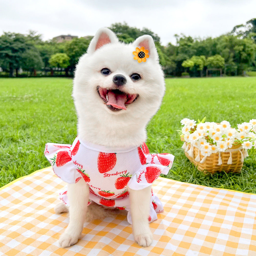 Cute Pet Dog Dress for Small Dogs Thin Puppy Princess Skirt Summer Dog Clothes Chihuahua York Clothing Summer Pet Clothes