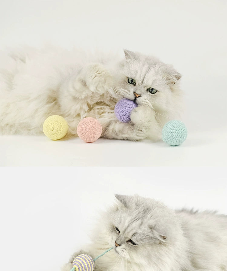 Cat Toy with Bell