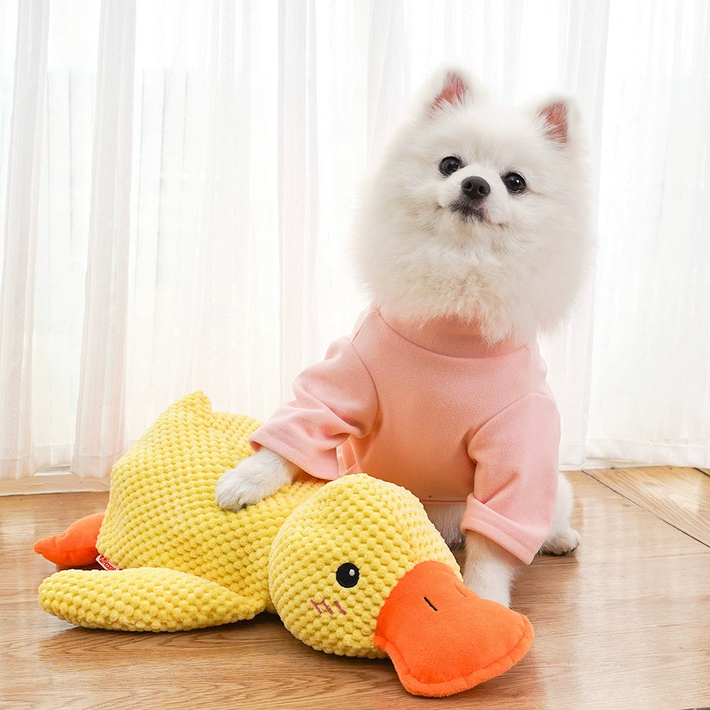 Relieving Boredom to Sleep with Yellow Duck Self-Hi Dog