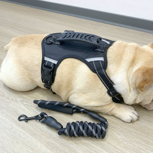 Dog Harness Medium-Sized Dog