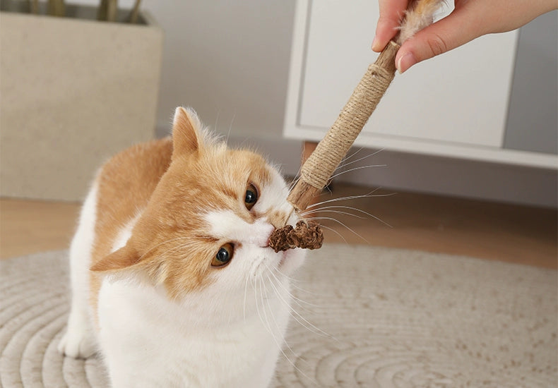 Cat Rope Toy with Catnip