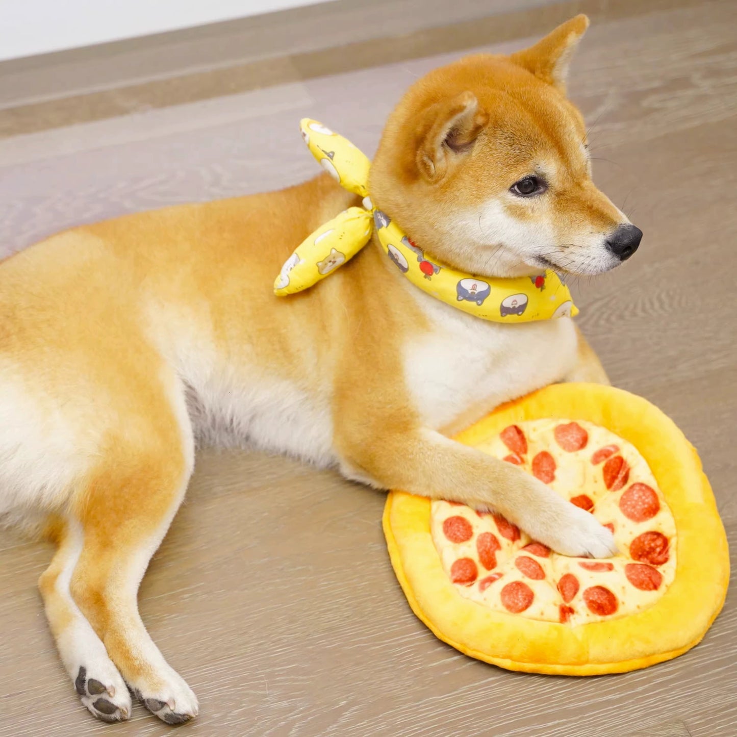 Pizza toy for medium to large dogs