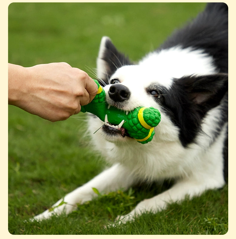 Teddy Bite-Resistant Molar Toy Small Dog