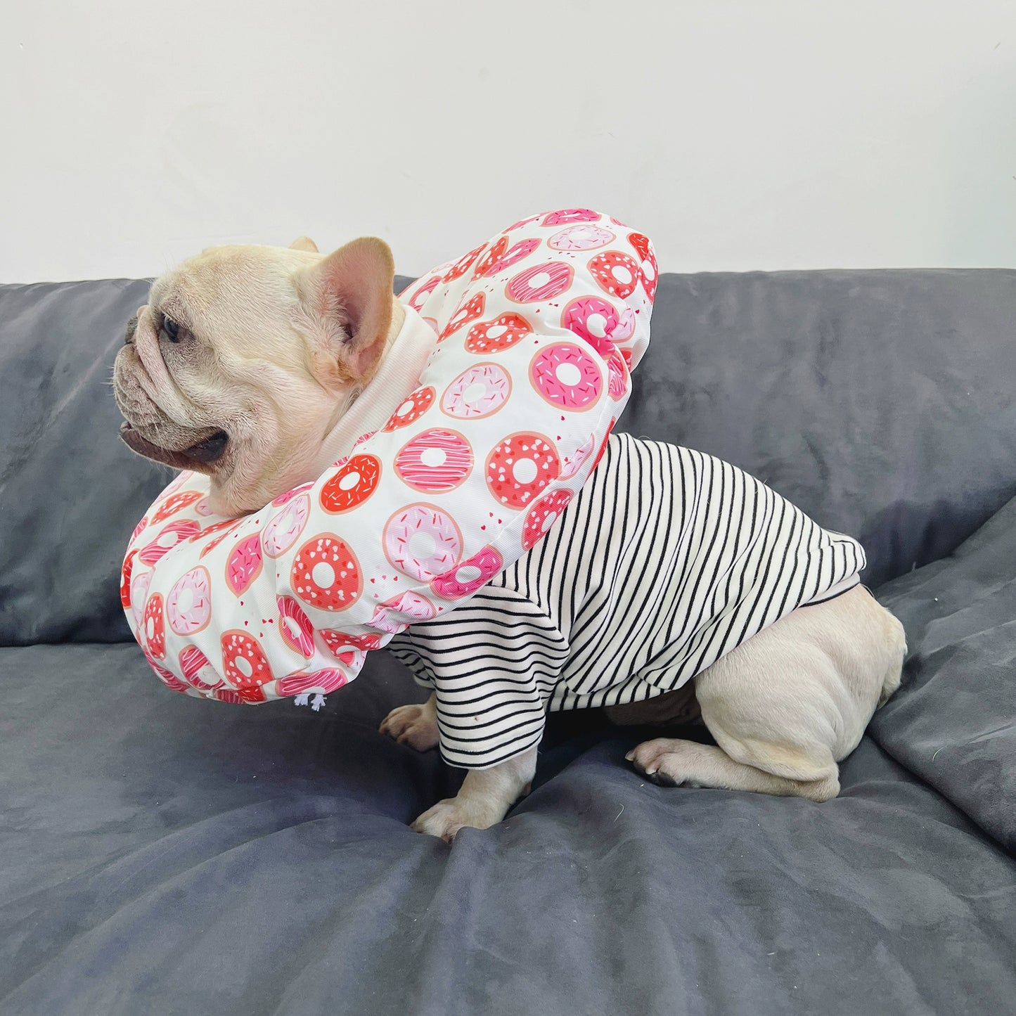 Cat Dog Headgear Anti-Licking Circle