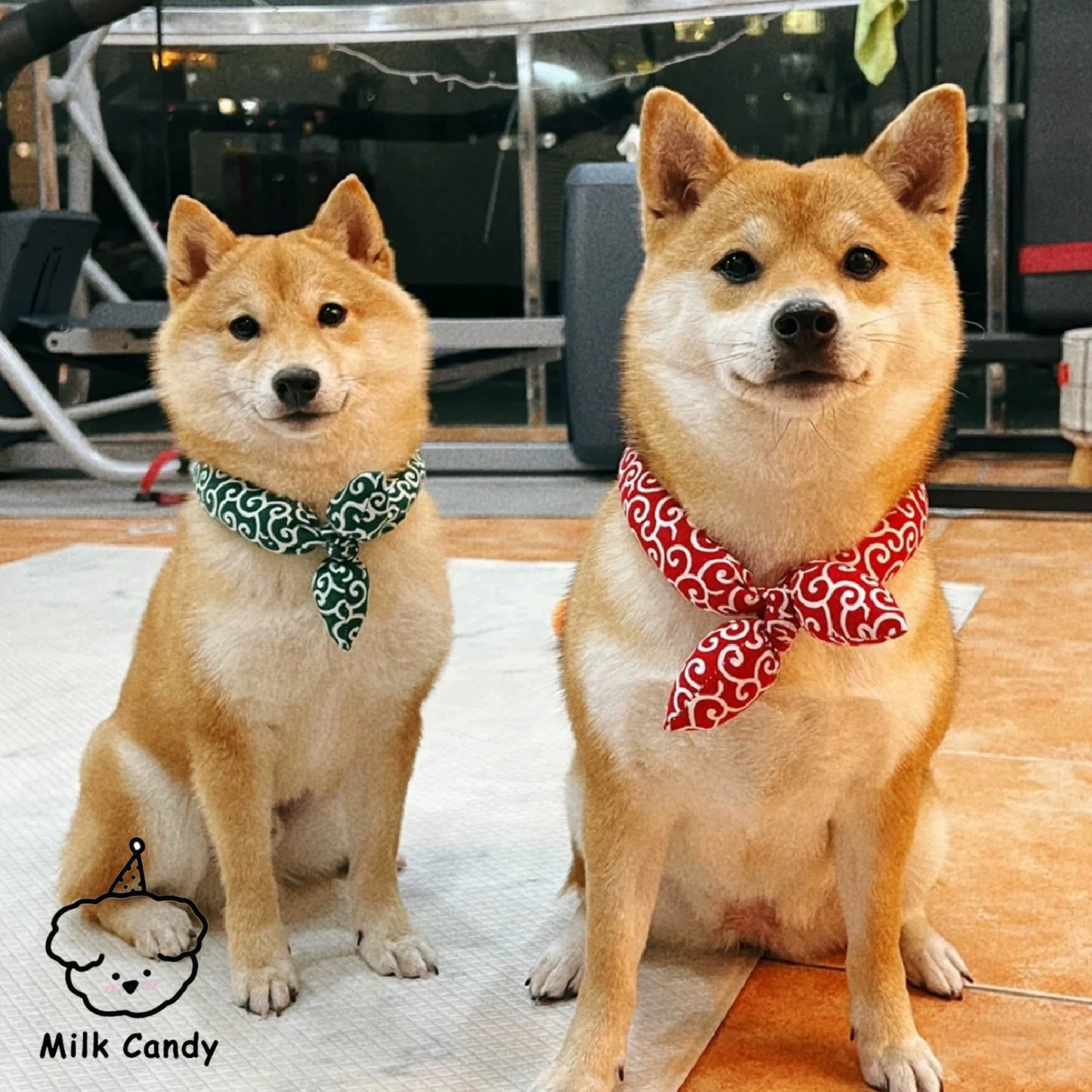 Scarf and Wind Decorations Big and Small Dogs Bow Tie Dog