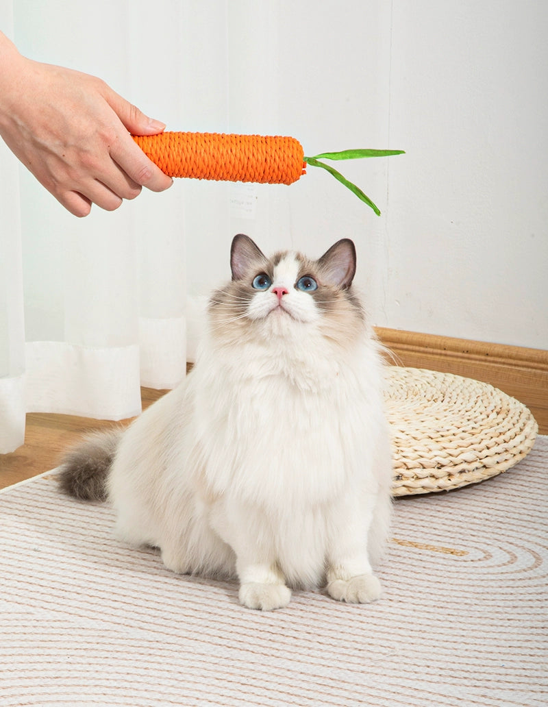 Cute Sound Carrot Grinding Claw Relieving Stuffy Cat Toy