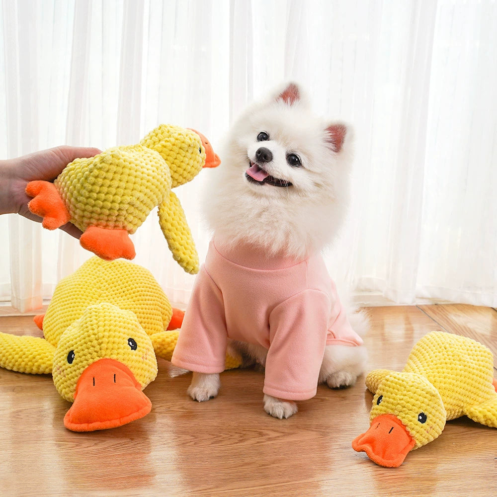 Relieving Boredom to Sleep with Yellow Duck Self-Hi Dog