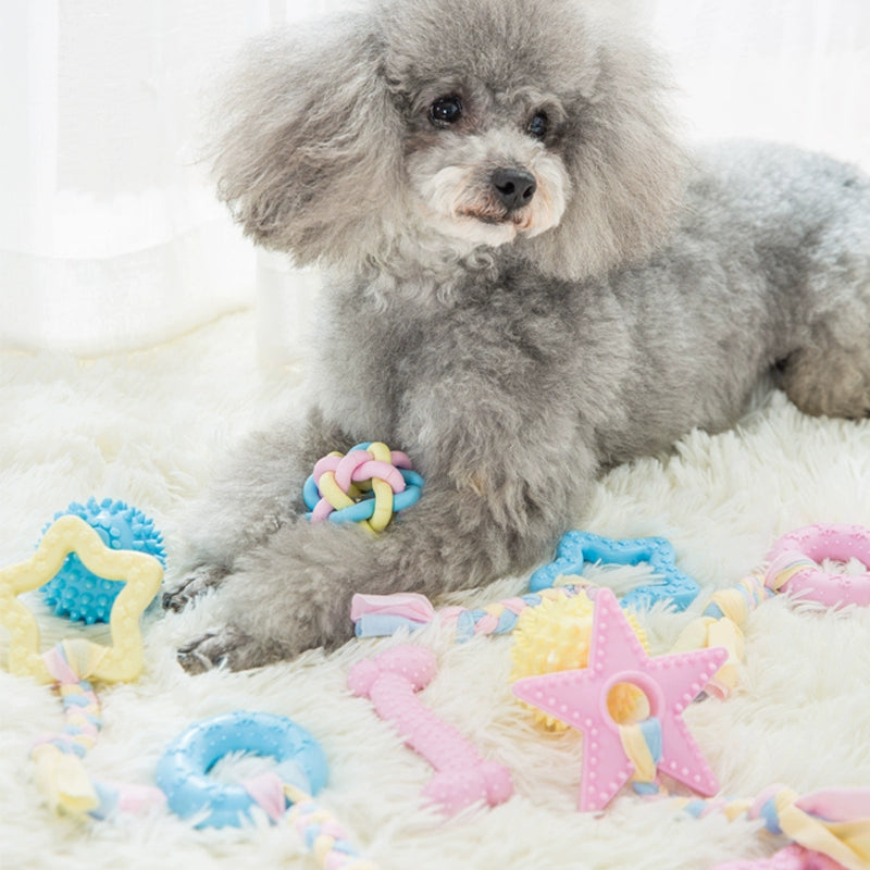 Teething Toys for Small to Medium Sized Dogs and Puppies