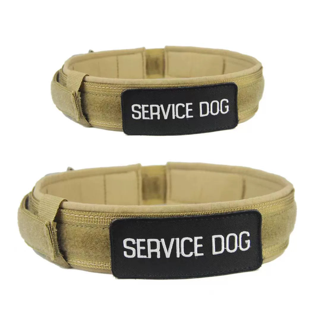 Large Dog Collar