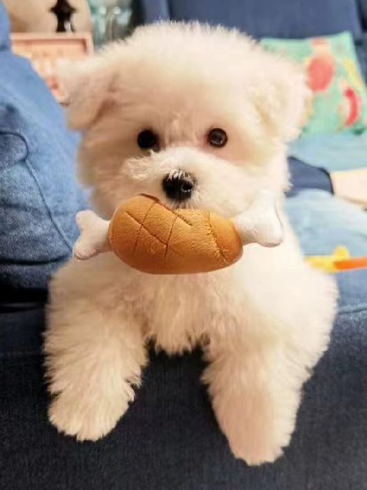 Chicken Leg Toy for Small Dogs